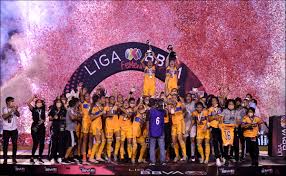 'regresar a la liga mx femenil no es un retroceso', afirma rubí soto. Tigres Aplasta A Chivas Y Logra El Historico Bicampeonato En La Liga Mx Femenil