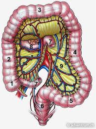 And puncture versus colon ascendens stent peritonitis: Dickdarmentfernung Adventrum