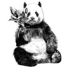 Voir plus d'idées sur le thème panda, dessin, panda dessin. Le Panda Est Assis Avec Un Bouquet Dans Son Dessin De Croquis Papier Peint Papiers Peints Ricaner Grimacant 14 Fevrier Myloview Fr