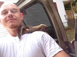 What does a squirrel's 'brrr' sound mean?