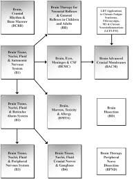 Brain Curriculum Flowchart Chikly Health Institute