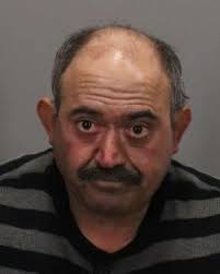 I have a turkey and stuffing for free East San José