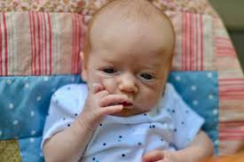 Axel Crayton Obituary December 17, 2018