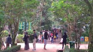 Papan reklame setinggi 10 meter terletak di jalan gajah mada, jember, jatim. 6 Tempat Wisata Di Bandung Ditutup Mulai Hari Ini Salah Satunya Kebun Binatang Bagian 1