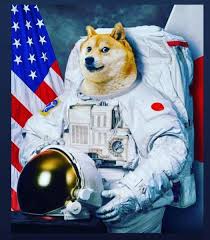 A push to drive dogecoin to the moon the cryptocurrency dogecoin began as a joke, and now it's worth more than ford why mike novogratz sees bitcoin reaching $500,000 by 2024 Dogecoin To The Moon Doge Tomoon Twitter