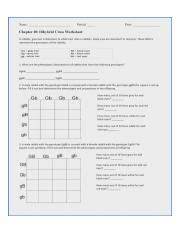 Once you find your worksheet, click on. 6046 Dihybrid Cross Worksheet Answers Dihybrid Cross Worksheet Flow 679artists Com Jpeg Name Period Date Chapter 10 Dihybrid Cross Worksheet In Course Hero