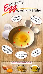 It can help nourish your roots and hair shafts, improving hair texture and promoting healthy hair growth. Amazing Egg Benefits For Hair And Effective Egg Hair Mask Health Nigeria