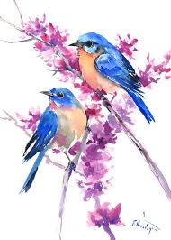 Check spelling or type a new query. Blue Love Birds Watercolor Novocom Top