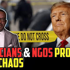 The Vince Everett Ellison Show