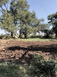 Site Preparation For Our Mobile Home Rocky Hedge Farm Site Preparation Mobile Home Traditional Landscape