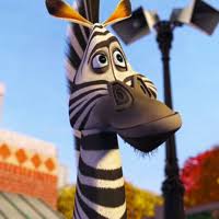 He is a zebra who lived at the central park zoo, and alex's best friend. Marty The Zebra The Personality Database Pdb Madagascar Franchise