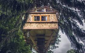 It is listed on the whiteboard and is bet on by the wranglers department. Diy Tree House Green Product Award