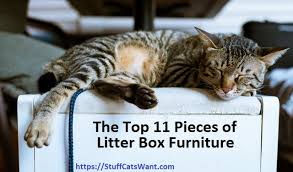Your vet can help you figure out the underlying reason for your cat's questionable choice in sleeping arrangements. Top 11 Pieces Of Litter Box Furniture 2021 Hide It Inside