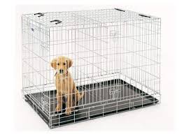 Check out how to properly potty train a puppy the fun and fast way here. Potty Training A Puppy In 5 Simple Steps Canine Perspective Inc