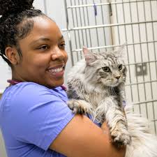 HAPPY (almost) THANKSGIVING! We chatted with some of our #NCStateVetMed  experts