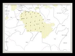 Image result for Orthopichonia seretii