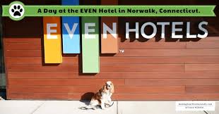 In this guide we go over the best pet friendly hotel chains. Even Hotel Norwalk Archives Raising Your Pets Naturally With Tonya Wilhelm