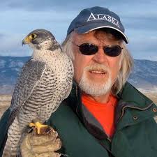 The Archives of Falconry Book of Rembrance Search