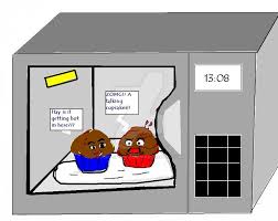 Image result for microwave