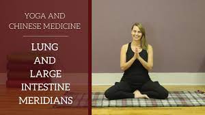 Each pose was specifically chosen because it has the greatest impact upon the healthy functioning of the lung. Lung And Large Intestine Meridians For Yin Yoga Jennifer Raye Medicine And Movement