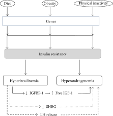 Discover how gip impacts overall health in people with and without type 2 diabetes. Insulin Resistance And Skin Diseases