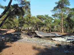 Acht impala's en twee koedoe's. Verdachte In Beeld Na Brandstichting Safaripark Beekse Bergen Waarbij Tien Dieren Omkwamen Binnenland Ad Nl