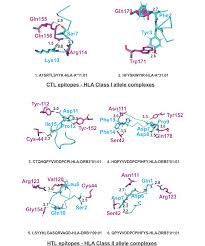 It is one of several architectural designs intended to solve interrupt routing efficiency issues in multiprocessor. Molecular Docking Analysis Of Sars Cov 2 Ctl Epitopes And Hla Alleles Download Scientific Diagram
