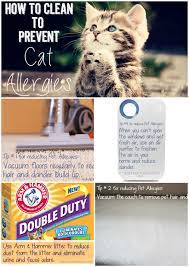 How To Clean To Prevent Cat Allergies Ask Anna Cat Allergies Pet Allergies Allergies