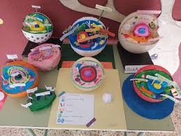 We did not find results for: Ceip La Cortina Ceip La Cortina Added A New Photo