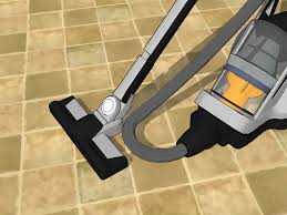 When rain water gets into places it shouldn't, it can cause mold, mildew, fungi, algae, and other things to grow. How To Get Rid Of Silverfish 14 Steps With Pictures Wikihow