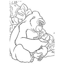 The first gorilla born in captivity was colo, on december 22, 1956, at the columbus ohio zoo. 10 Cute Free Printable Gorilla Coloring Pages Online