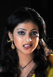 Hibiscus varieties in Pune and India