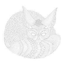 Free Millie Marotta Colouring Downloads Pavilion Books See more ideas about millie marotta animal kingdom, millie marotta tropical wonderland, millie marotta. free millie marotta colouring downloads