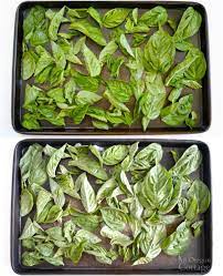 Ways to use frozen herbs. Freezing Basil Leaves 6 Ways Which Is Best An Oregon Cottage