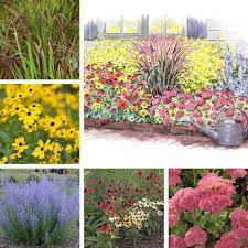 Encore Pollinator Garden Pollinator Garden Pollination Perennials