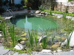Badeteich Schwimmteich Klein Schwimmteich Badeteich Naturschwimmbecken