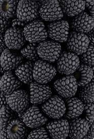 Pattern Inspiration Blackberry Bogurtlen Resimler Makro Fotografcilik