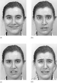 Individuals with aspergers (high functioning autism) often find social situations very difficult. Figure 1 From Is There A Language Of The Eyes Evidence From Normal Adults And Adults With Autism Or Asperger Syndrome Semantic Scholar