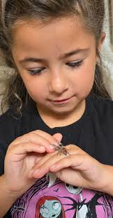 I am very pleased with this spider photo I took 🥰 especially since I am a  recovering arachophobe 😅 Weirdly seeing their faces and their eyes makes  me a little less afraid