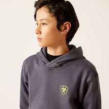 Ariat Boy's Gradient Badge Hoodie