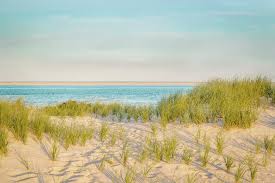 Please visit our facebook page or instagram for up to date schedule info. Chatham Lighthouse Beach Photograph By Brooke T Ryan