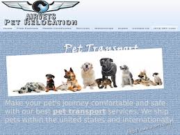 Maybe you would like to learn more about one of these? Pet Transport By Airvets Issuu