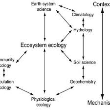 An ecosystem is a very complex entity with many interactive components. 2 Relationships Between Ecosystem Ecology And Other Disciplines Download Scientific Diagram