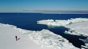 Continental shelf claims in the arctic ocean also bring a new layer of complexity to territorial disputes. As Sea Ice Disappears So Do Nutrients For Wildlife Scientific American