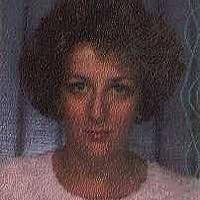 War Horse (War Horse, #1) by Michael Morpurgo