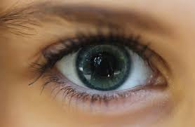 Kokain reichert sich in den augen von. Grosse Pupillen Ursachen Und Gegenmittel Fur Erweiterte Pupillen Im Check
