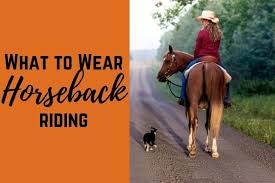 19 Beginner Horse Riding Exercises To Shake Up Your Routine Horseback Riding Horse Riding Horses