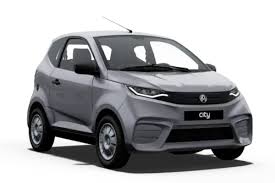 Image result for Gris Argent 2008 Aixam-Mega