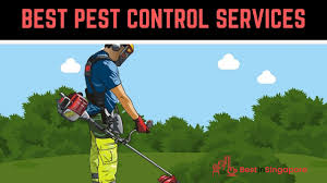 The right pest control company will be properly licensed by the relevant state regulatory body. The 13 Best Pest Control Companies In Singapore For Any Infestation 2021