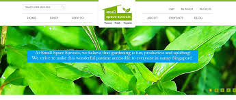 5 Great Online Stores For Indoor Gardening Home Decor Singapore